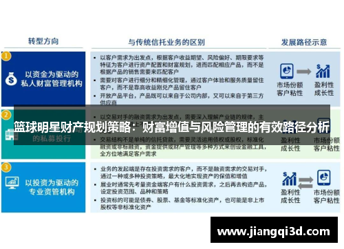 篮球明星财产规划策略：财富增值与风险管理的有效路径分析